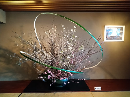草月会館5階 日本間の展示(3/3まで)