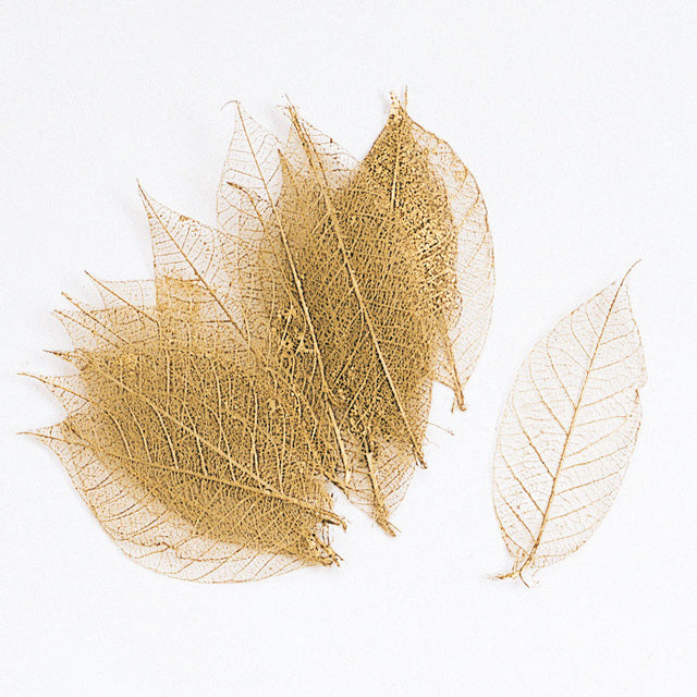 ミニスケルトンリーフ大 ゴールド