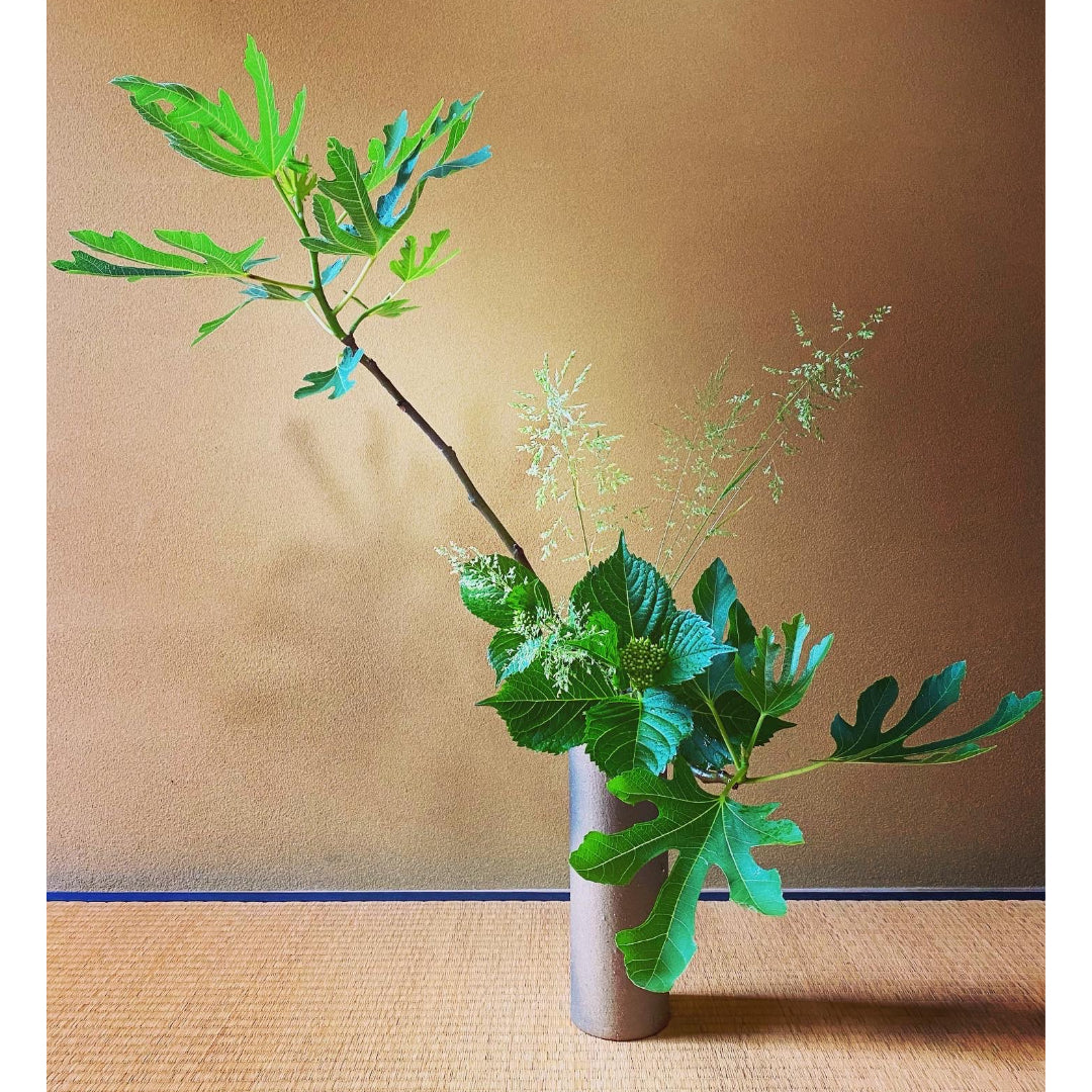 bamboo (small)