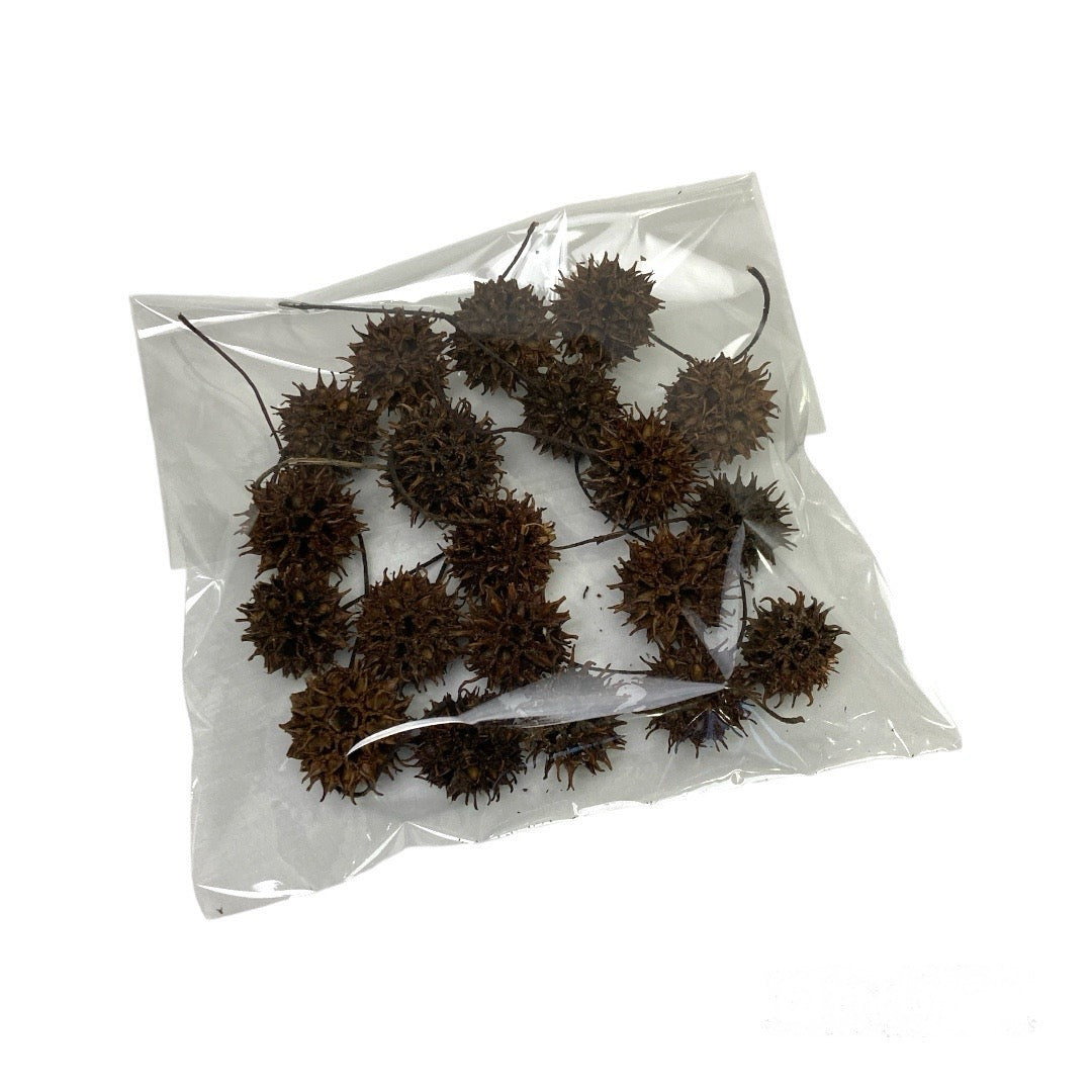 sweetgum fruit