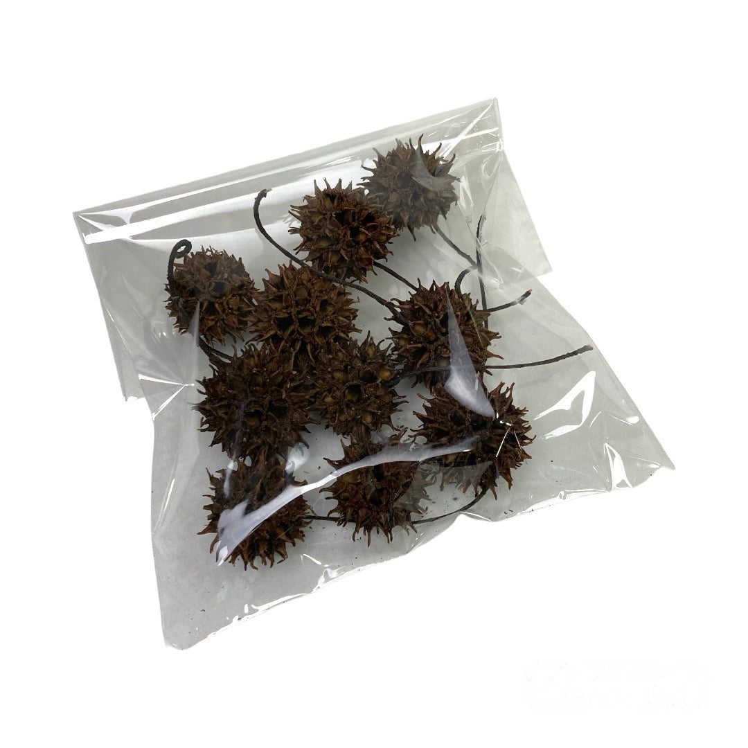 sweetgum fruit