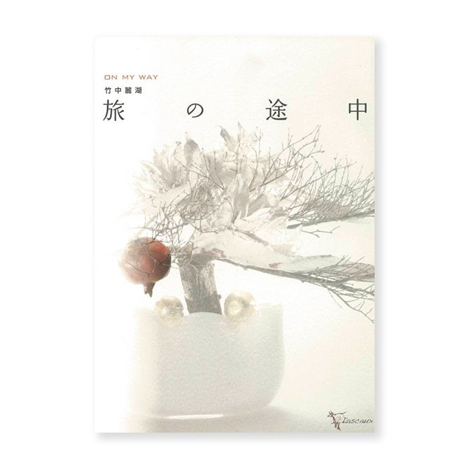 Reiko Takenaka - During the journey