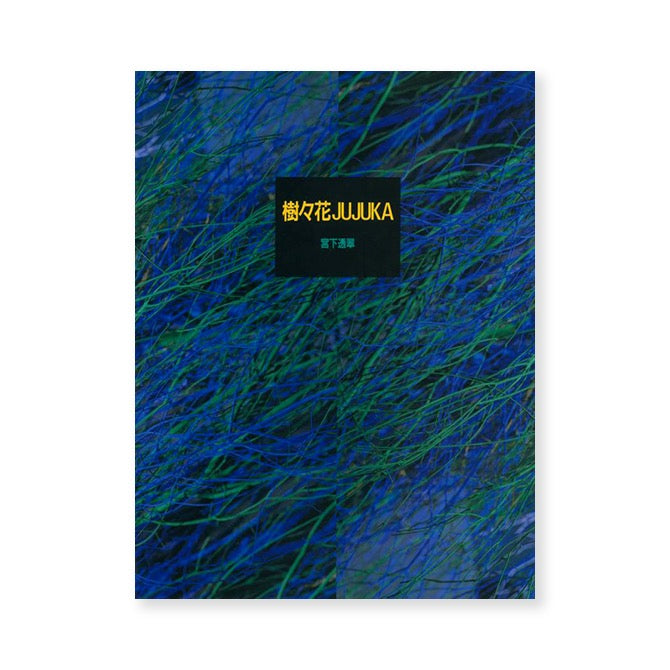 宫下藤水 / 木冢 JUJUKA