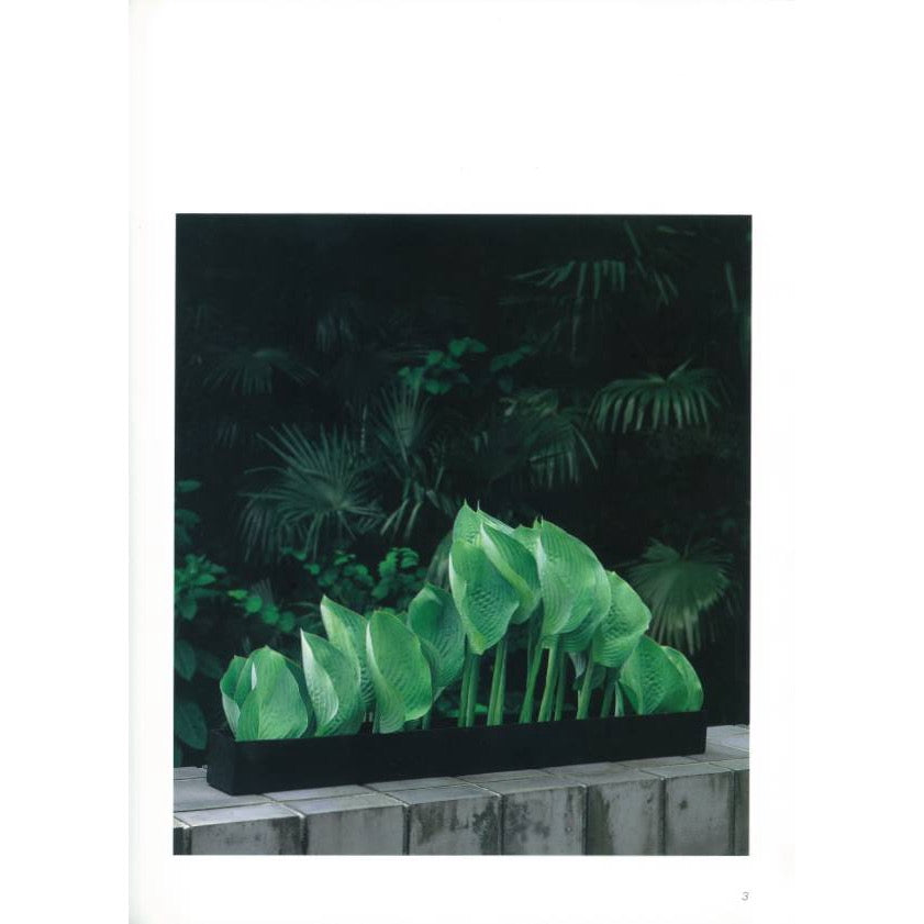 Haruko Miyamoto/GREEN WIND