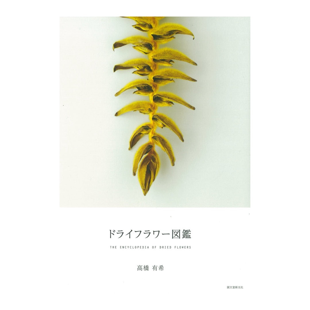 The Encyclopedia of Dried Flowers