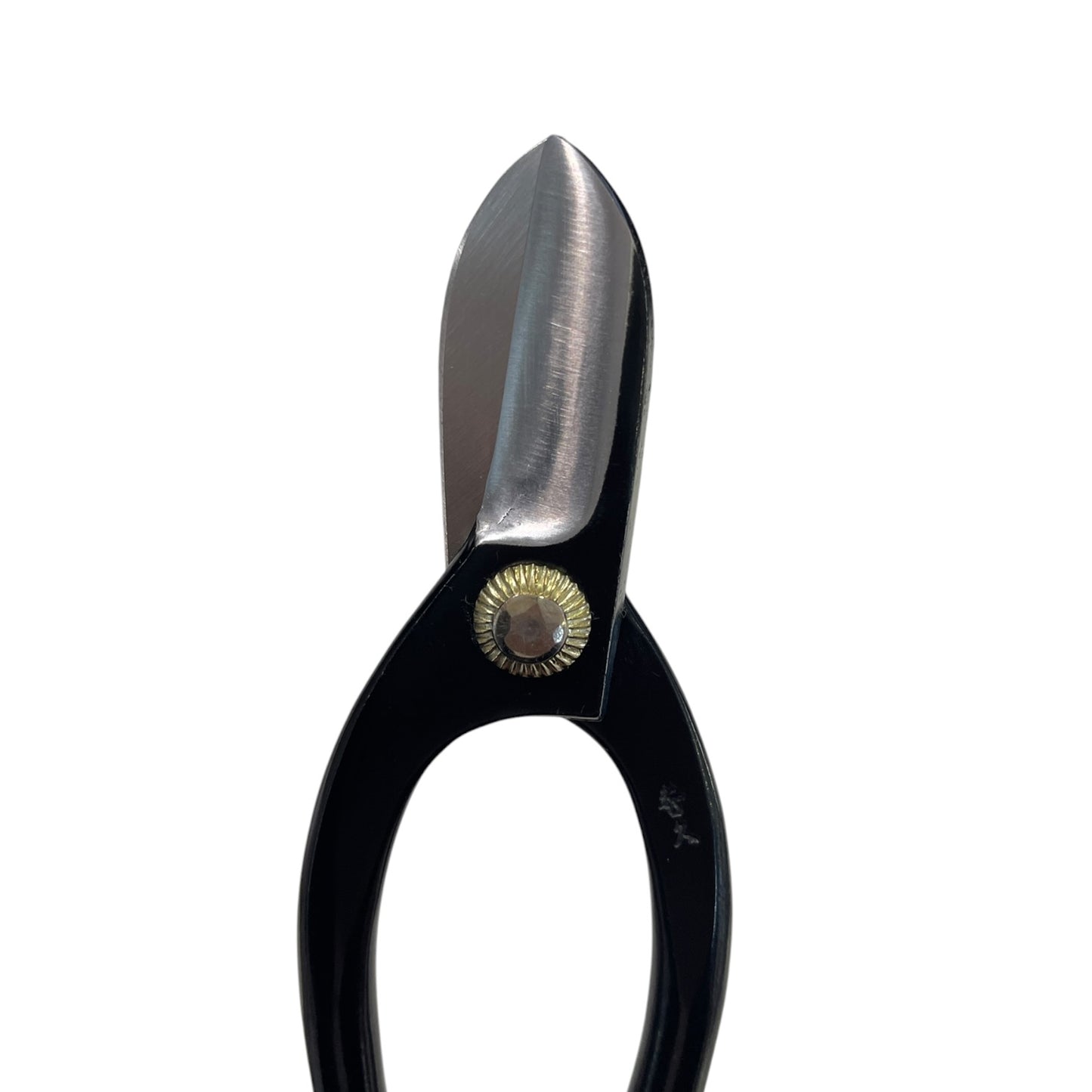 【訳あり特価】すみれ 左利き