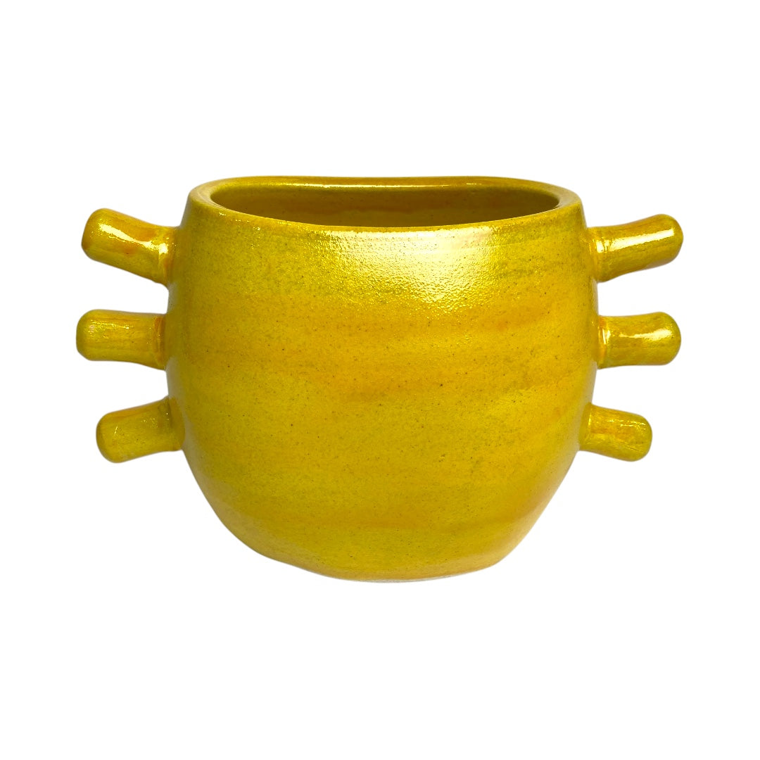 Crab light yellow