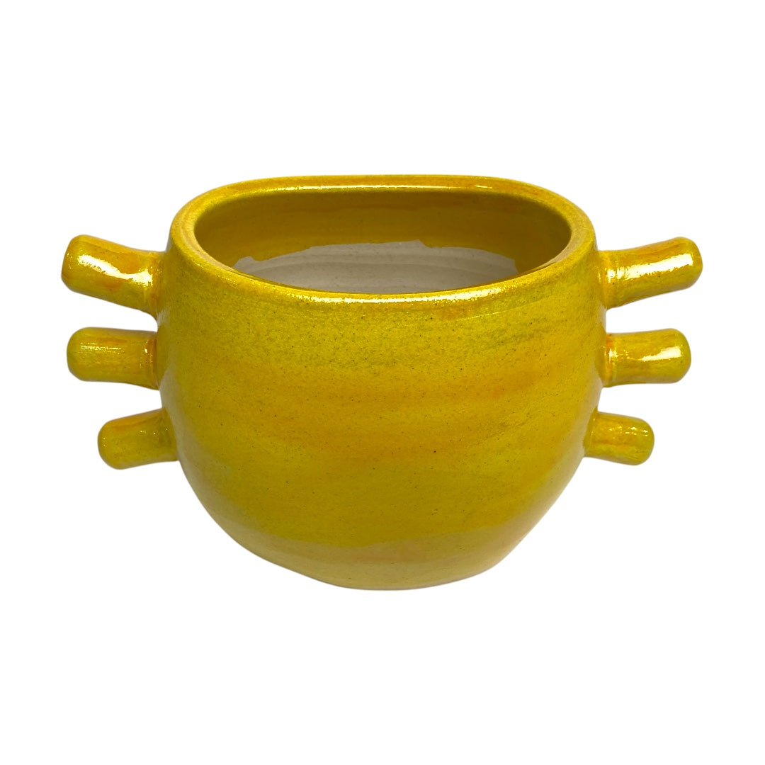 Crab light yellow