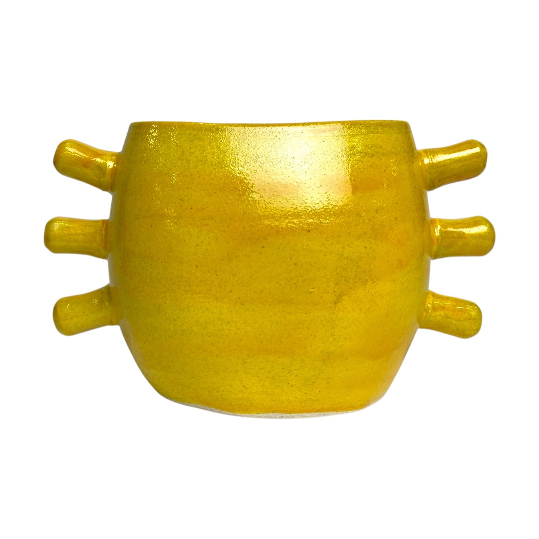 Crab light yellow