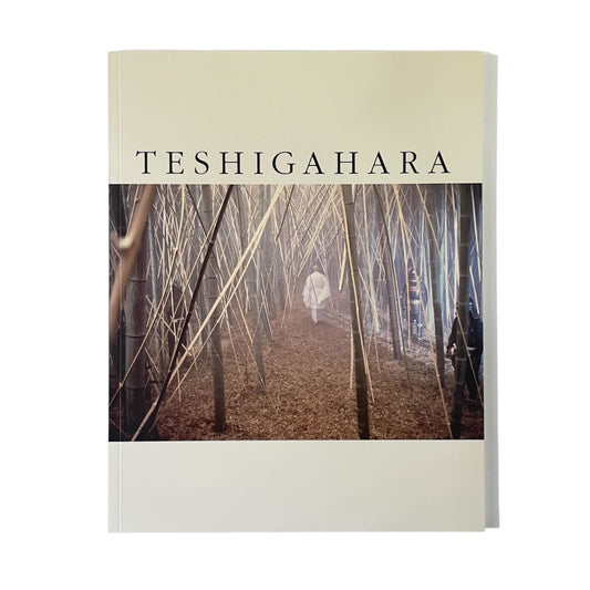 SIXTY-FIVE THOMPSON STREET HIROSHI TESHIGAHARA