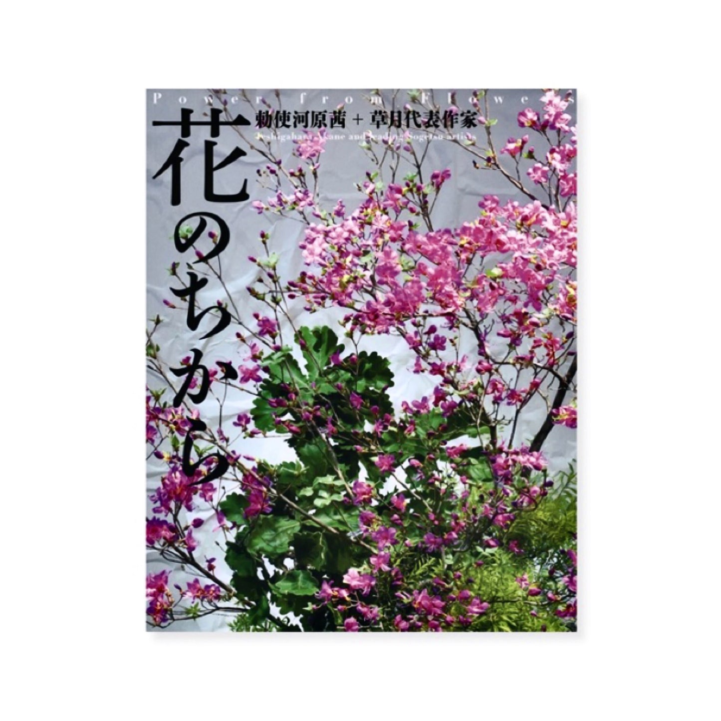 花朵的力量