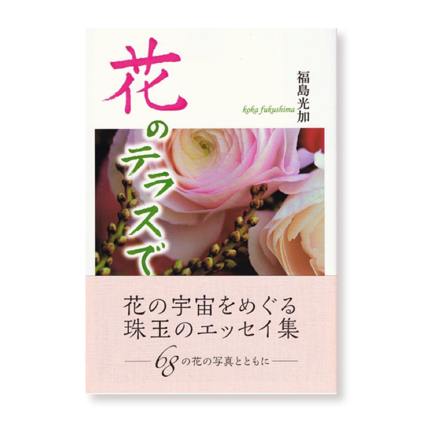 福岛光香/花台 II