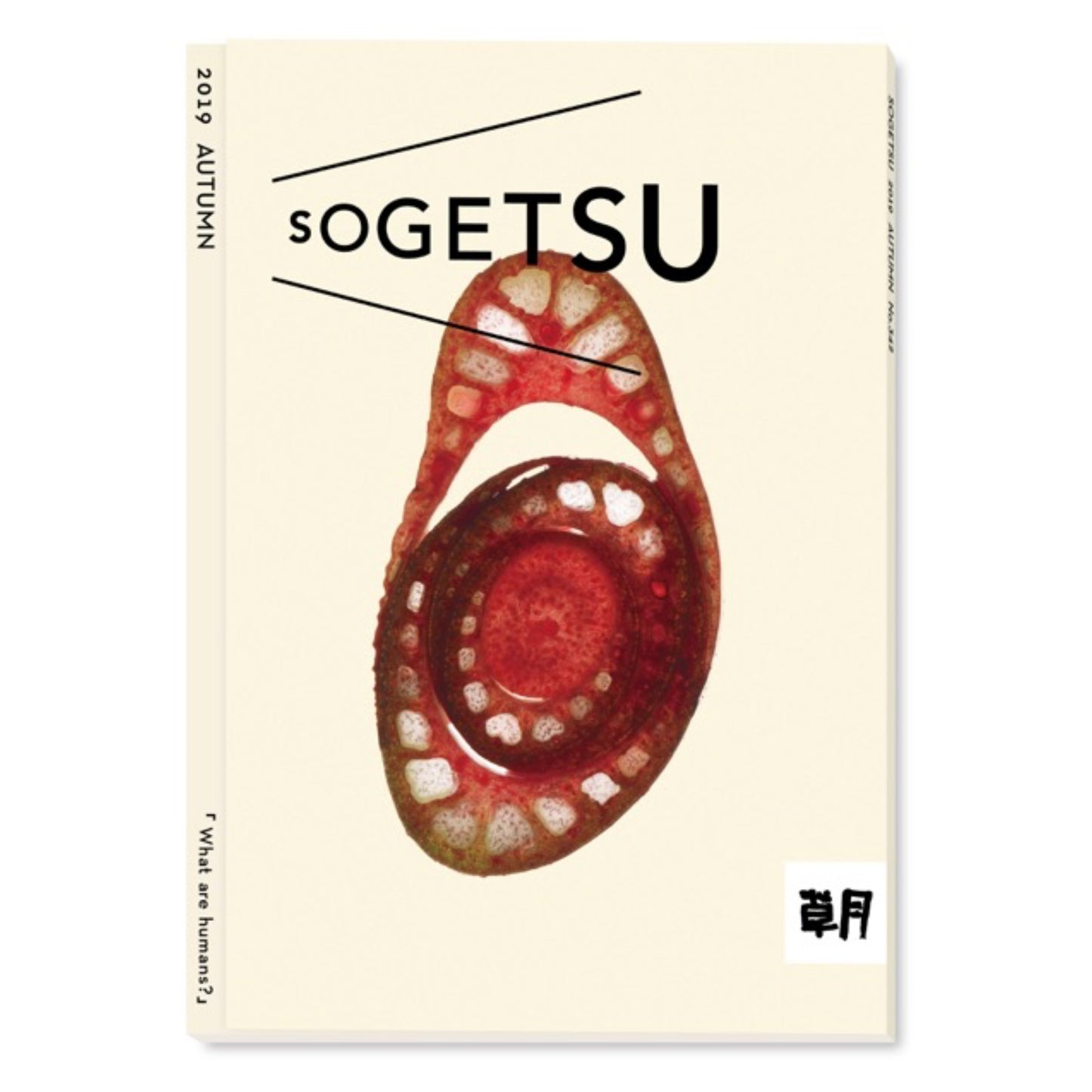 Sogetsu Autumn 2019