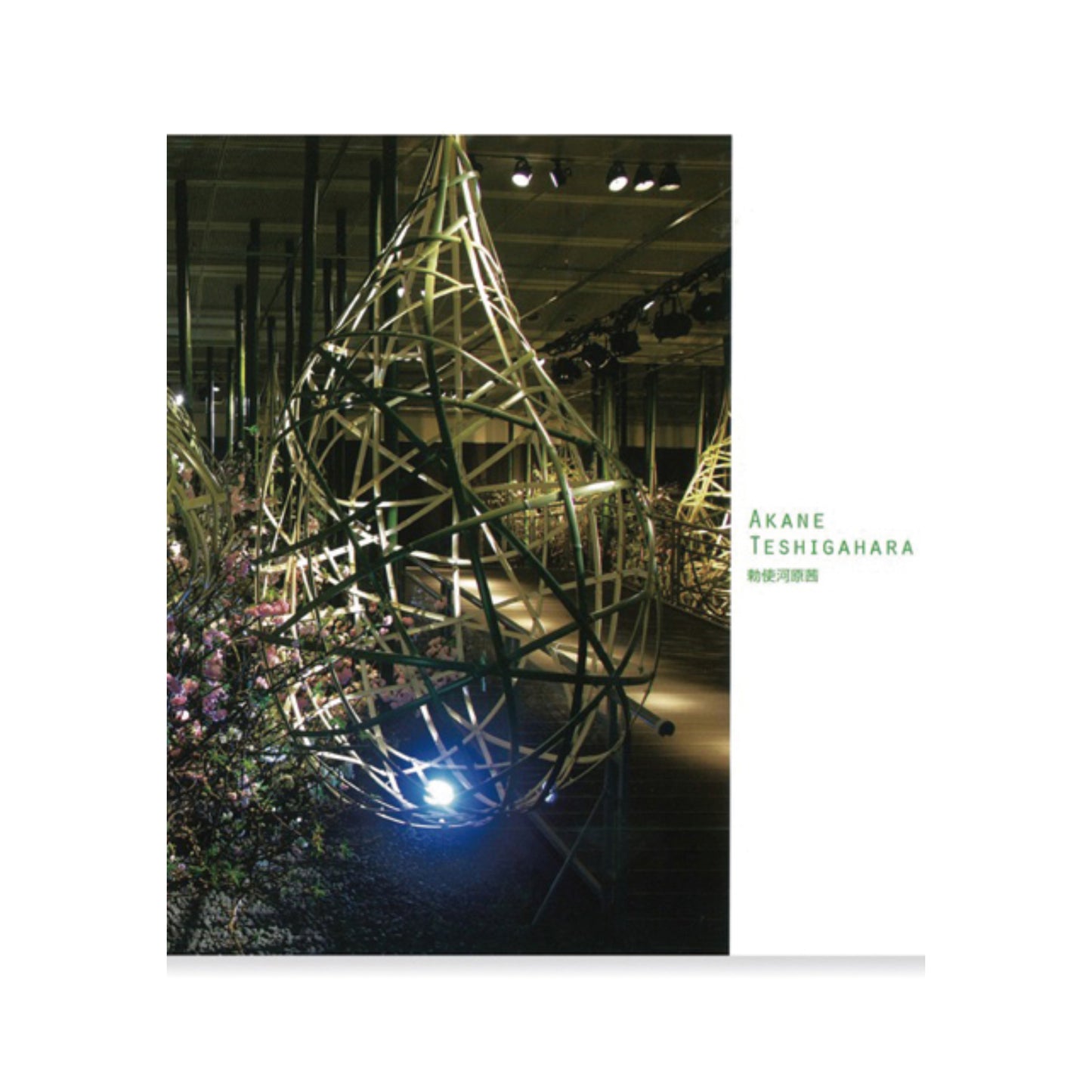 Akane Teshigahara catalog vol.2