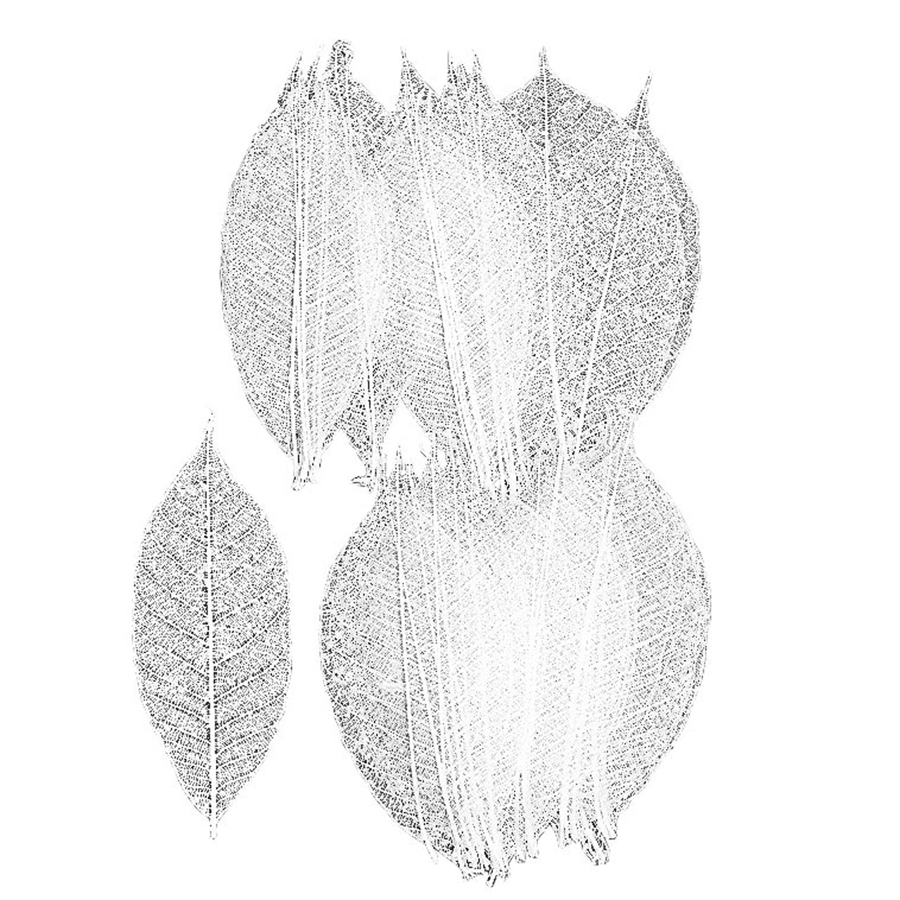 Mini Skeleton Leaf Small White