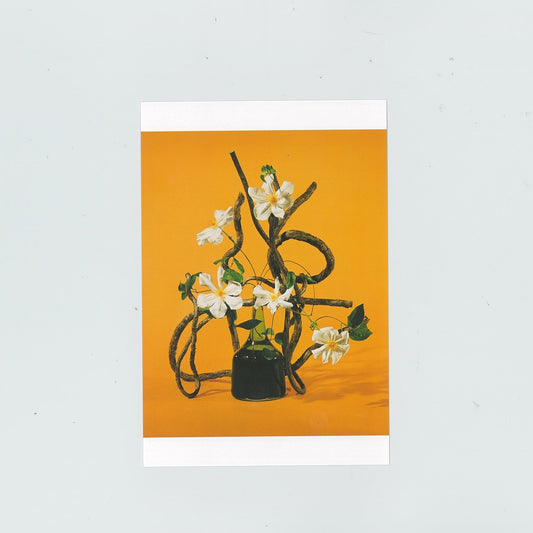 Postcard “Leather flower, Bower actinidia” (Sofu)
