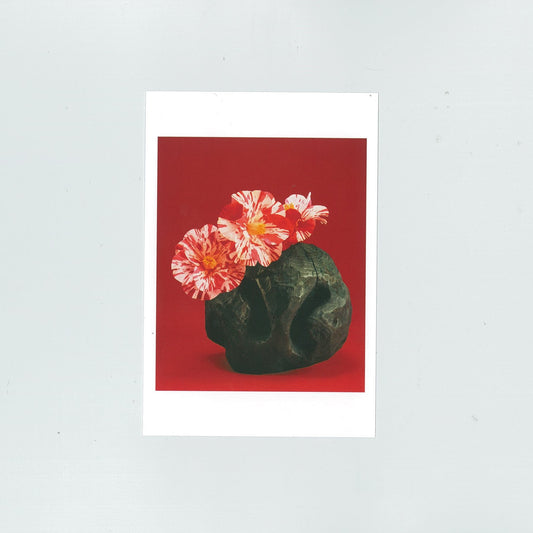 Postcard "Camellia" (Sofu)