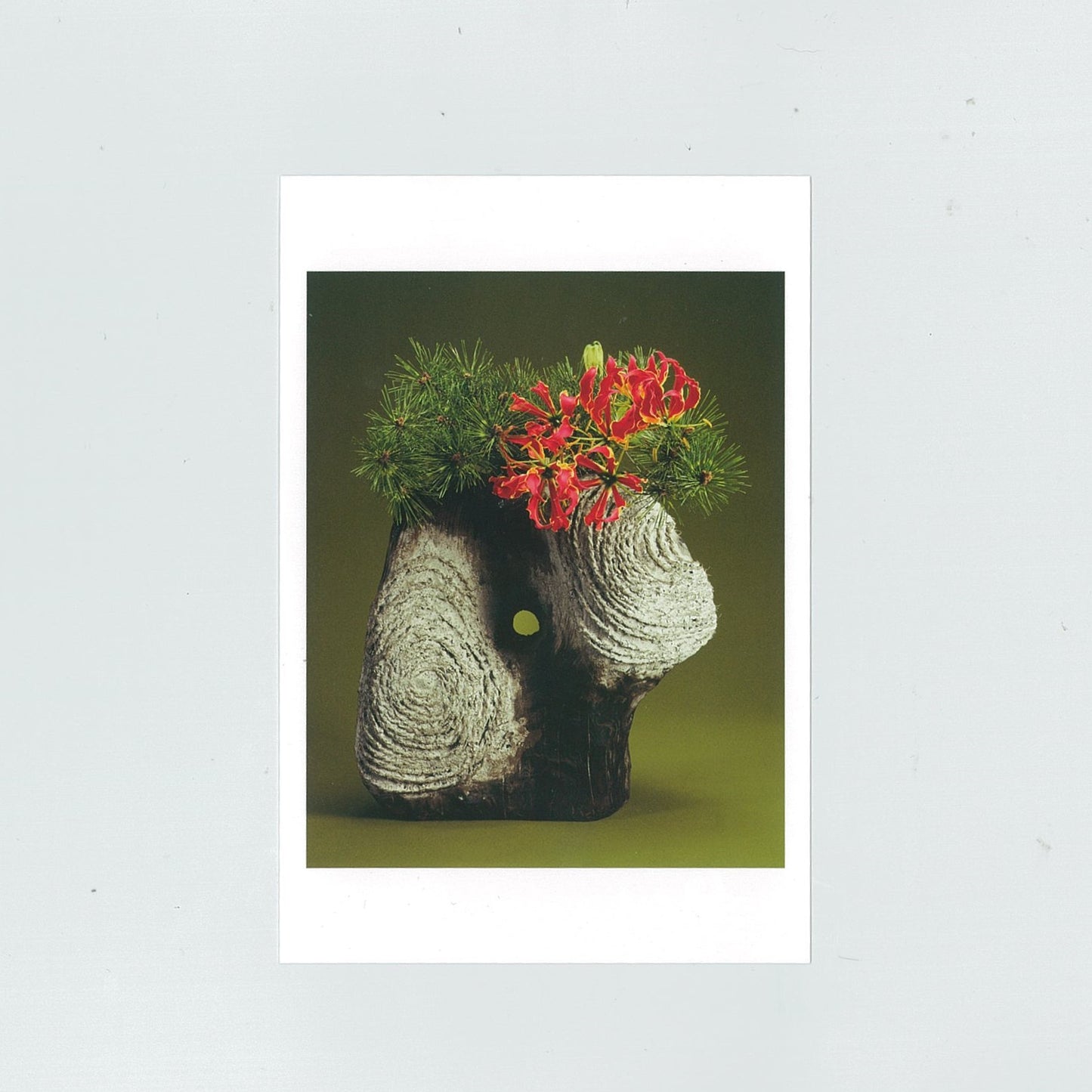Postcard “Pine, Glory lily” (Sofu)