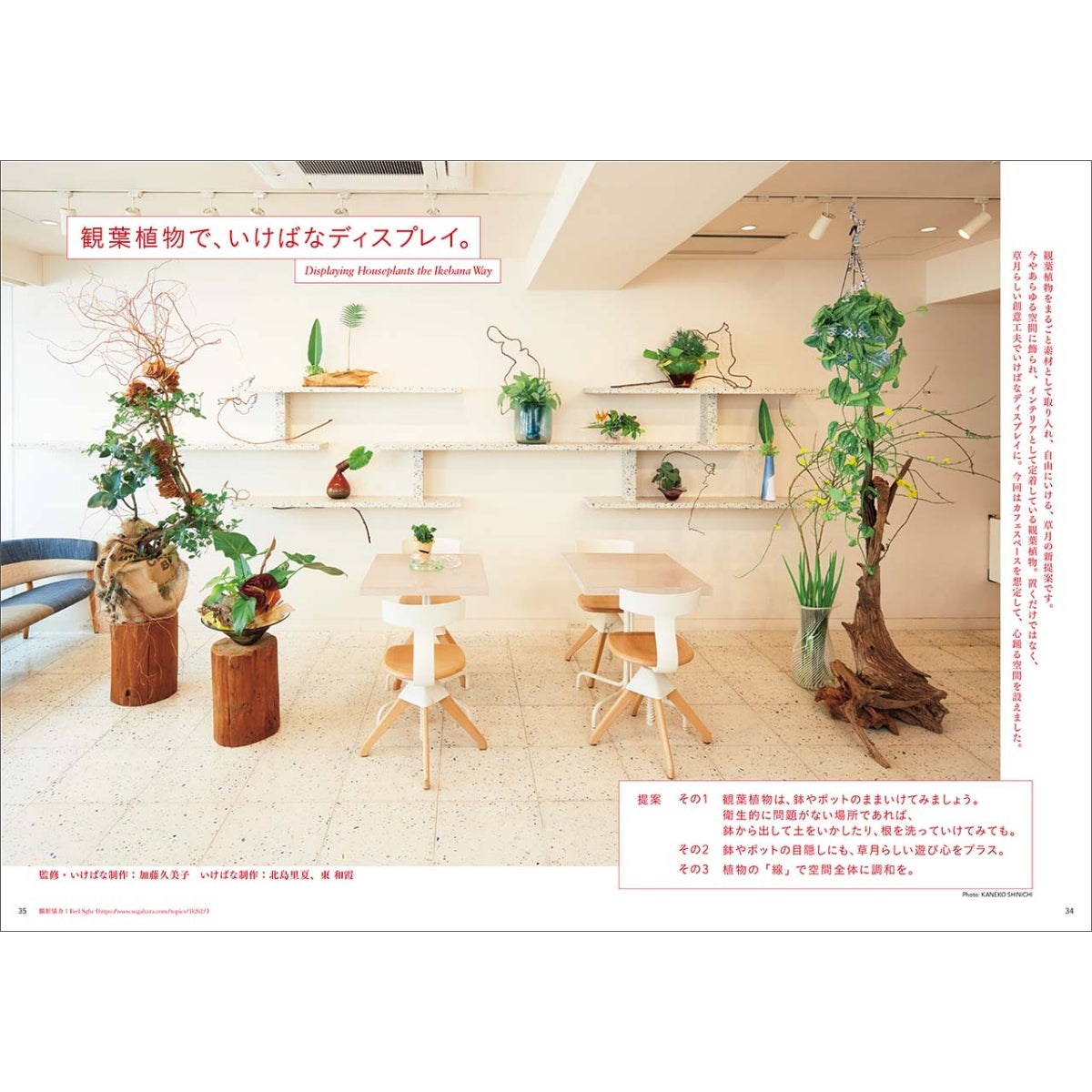 草月2026年夏号