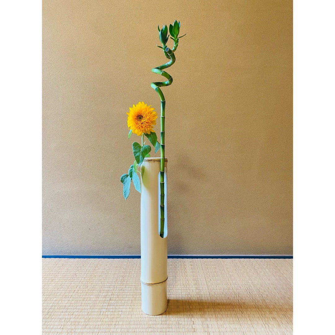 Bamboo flower vase, white bamboo