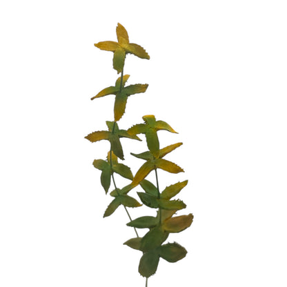 Pine Art Flower Early Spring