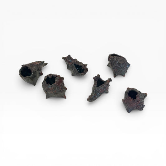 Miniature Set 6: Shell Tsubu-Tsubu