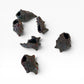 Miniature Set 6: Shell Tsubu-Tsubu