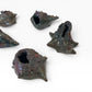 Miniature Set 5: Shell, Smooth