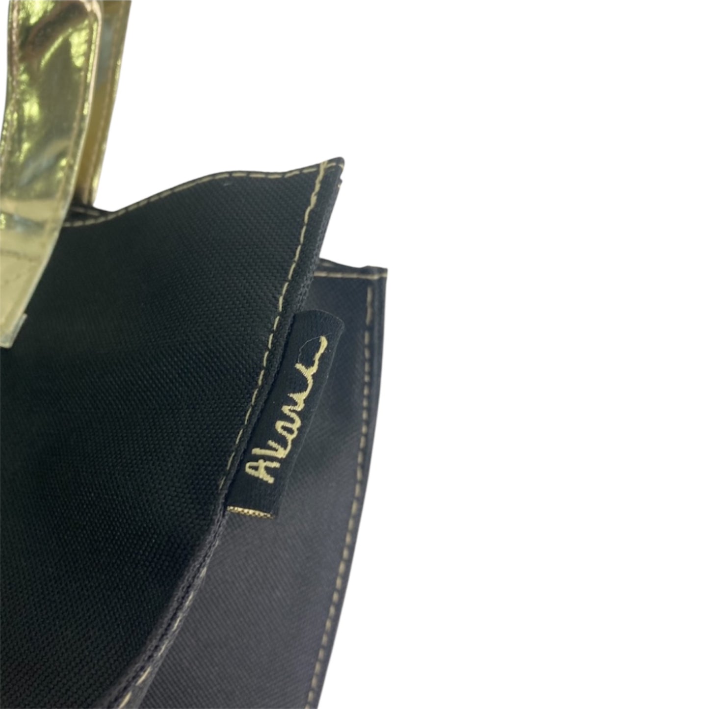 Gold handle bag