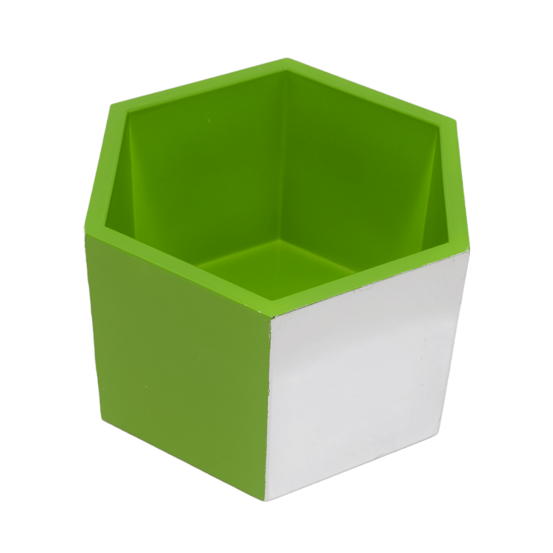 银叶龟甲缸（塑料缸）亮绿色