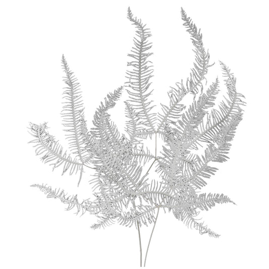 mountain fern white
