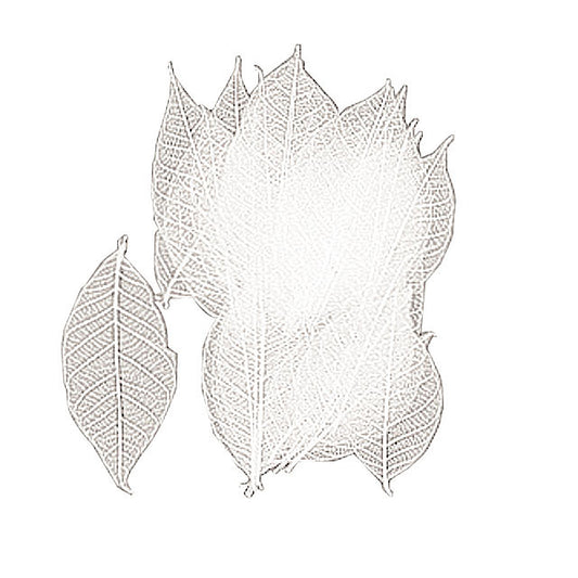 Mini Skeleton Leaf Large White