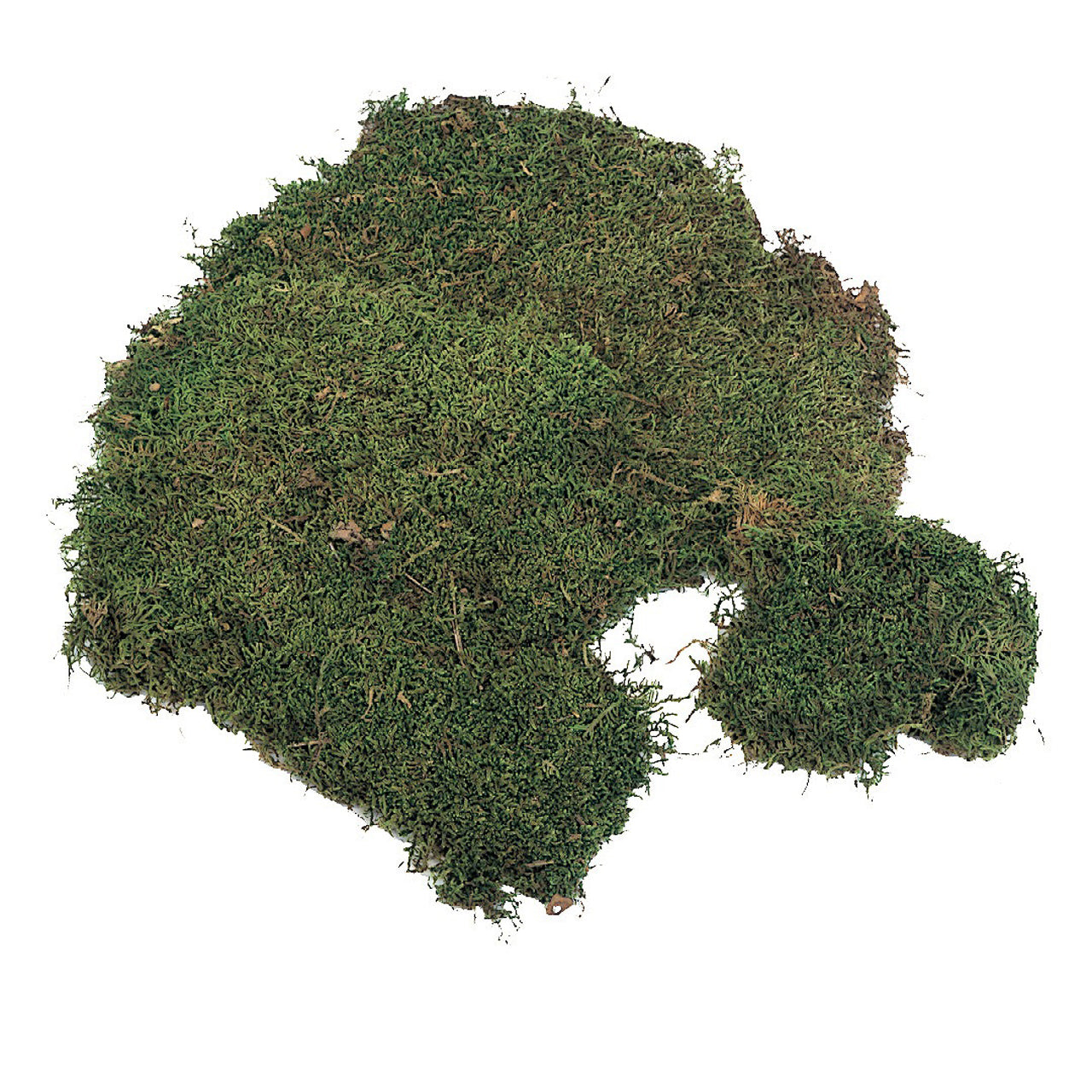 sheet moss green